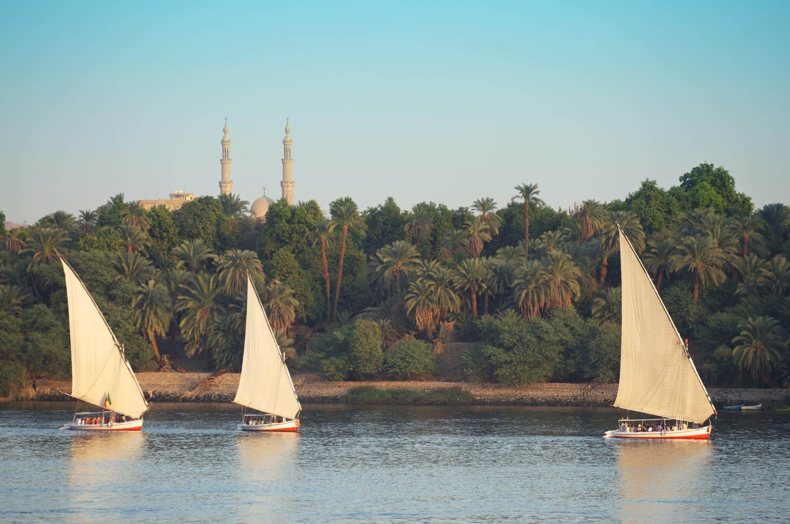 Egyptian felucca sailboats sail into the setting sun on the Nile River in Aswan Egypt
