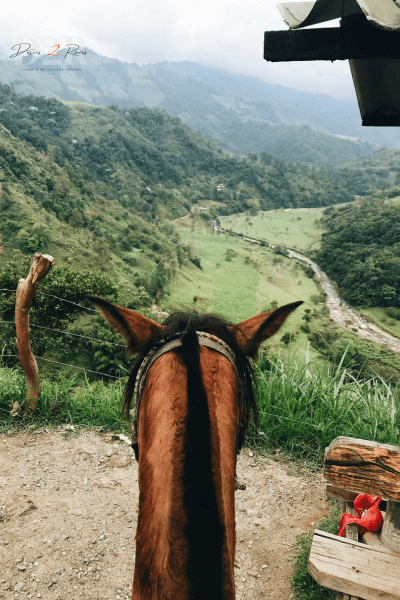 Photo prise depuis le dos d'un cheval, vue sur la montagne colombienne