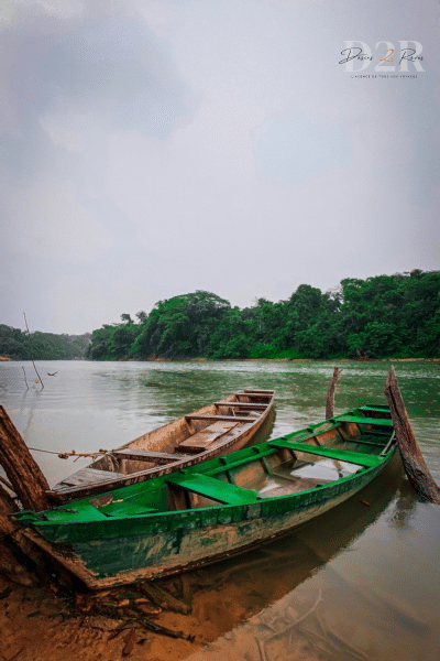 barque dans la fôret amazonienne