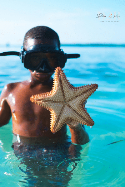 Photo d'un enfant dans l'océan qui tient une étoile de mer
